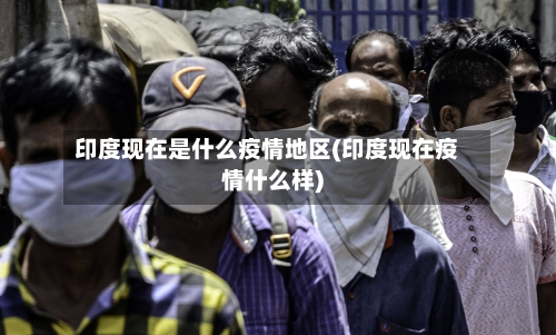 印度现在是什么疫情地区(印度现在疫情什么样)