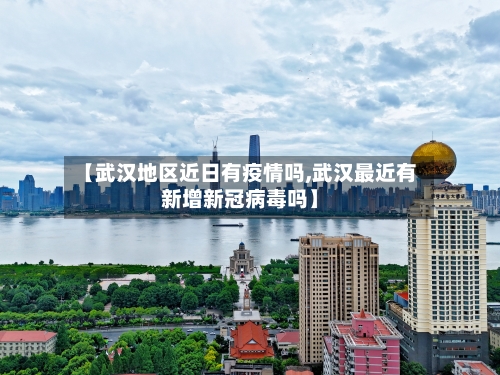 【武汉地区近日有疫情吗,武汉最近有新增新冠病毒吗】