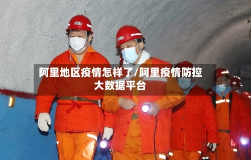 阿里地区疫情怎样了/阿里疫情防控大数据平台-第2张图片