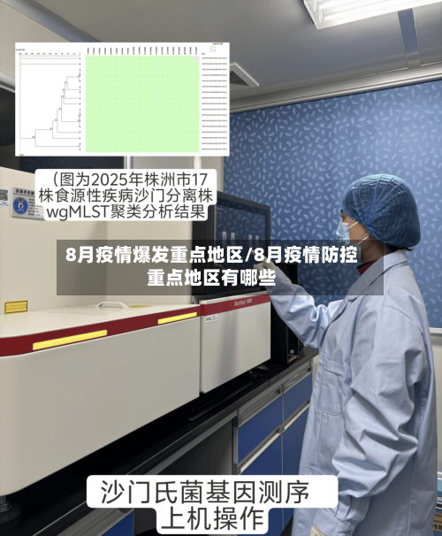 8月疫情爆发重点地区/8月疫情防控重点地区有哪些