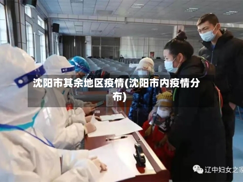 沈阳市其余地区疫情(沈阳市内疫情分布)